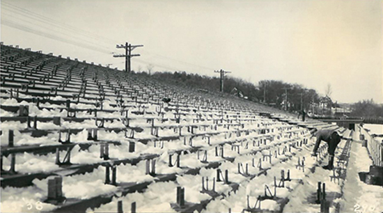 Mickey Mantle World Series